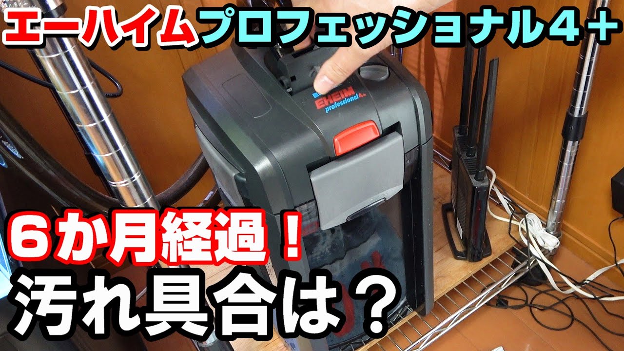 【120㎝水槽】外部フィルター６か月メンテナンス　ｴｰﾊｲﾑﾌﾛﾌｪｯｼｮﾅﾙ４＋