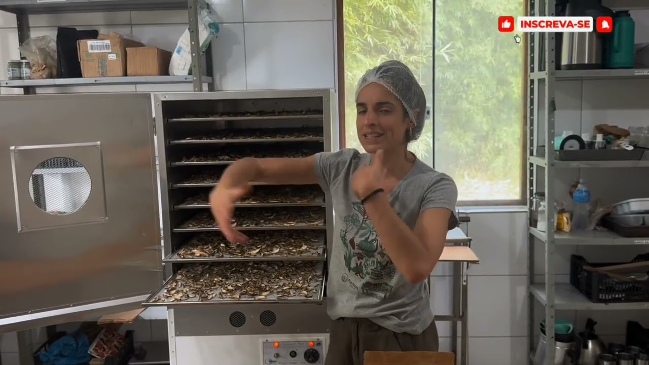 Desidratação de Cogumelo Shiitake na prática: do fresco ao sabor concentrado