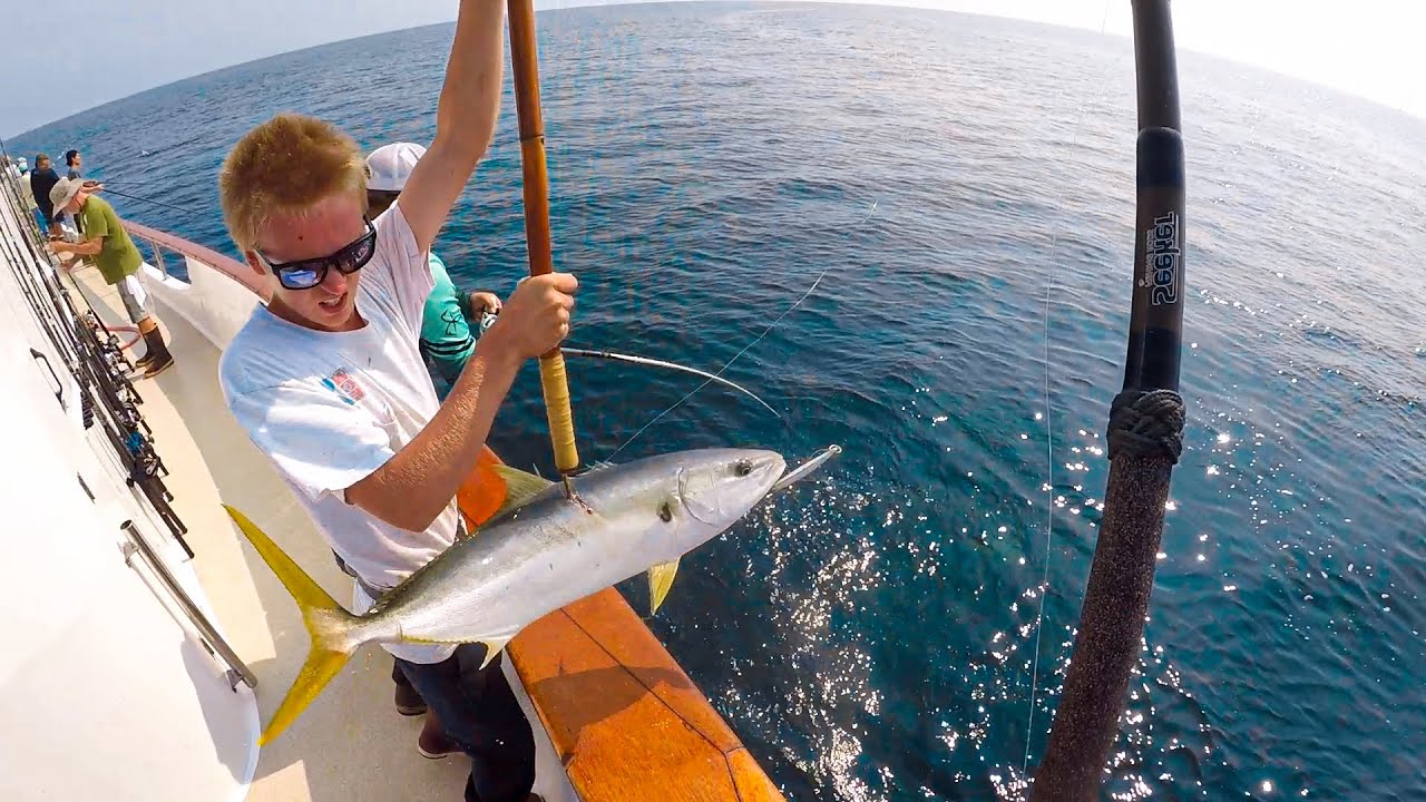SURFACE IRON YELLOWTAIL! Coronado Islands Fishing