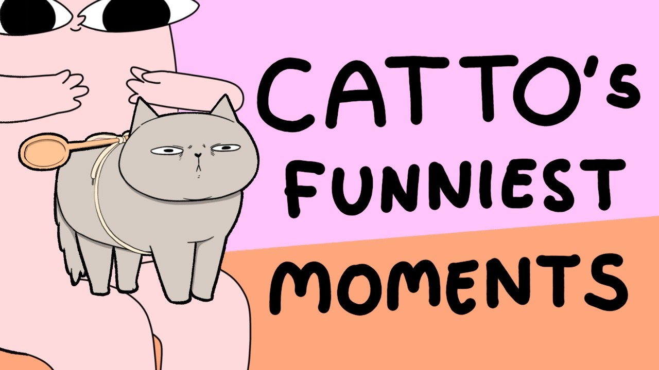 Catto's Best Moments 🐈 | Ketnipz Compilation