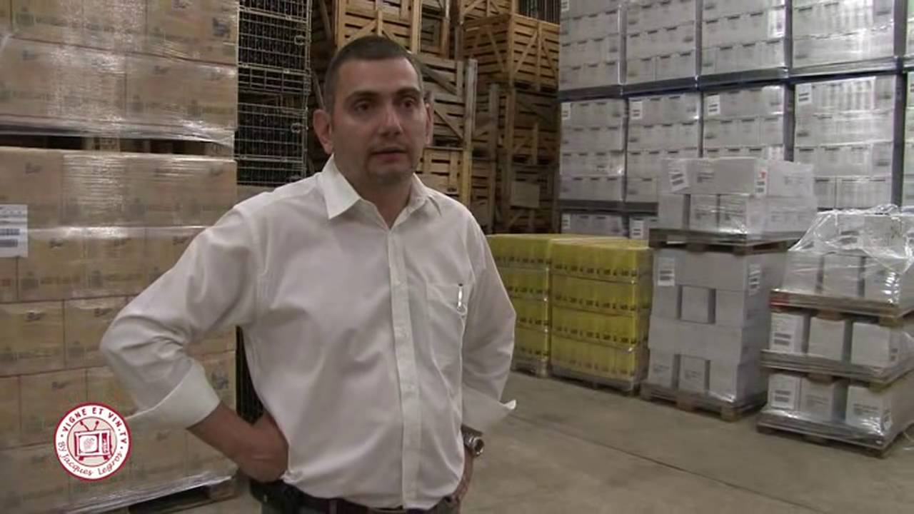 Vignerons des Terres Secretes au coeur du Mâconnais