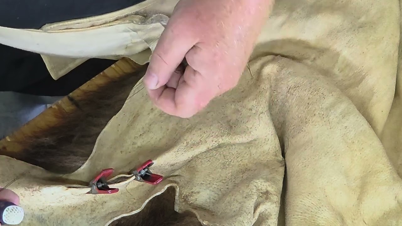 How to fix a hole in a fur pelt.