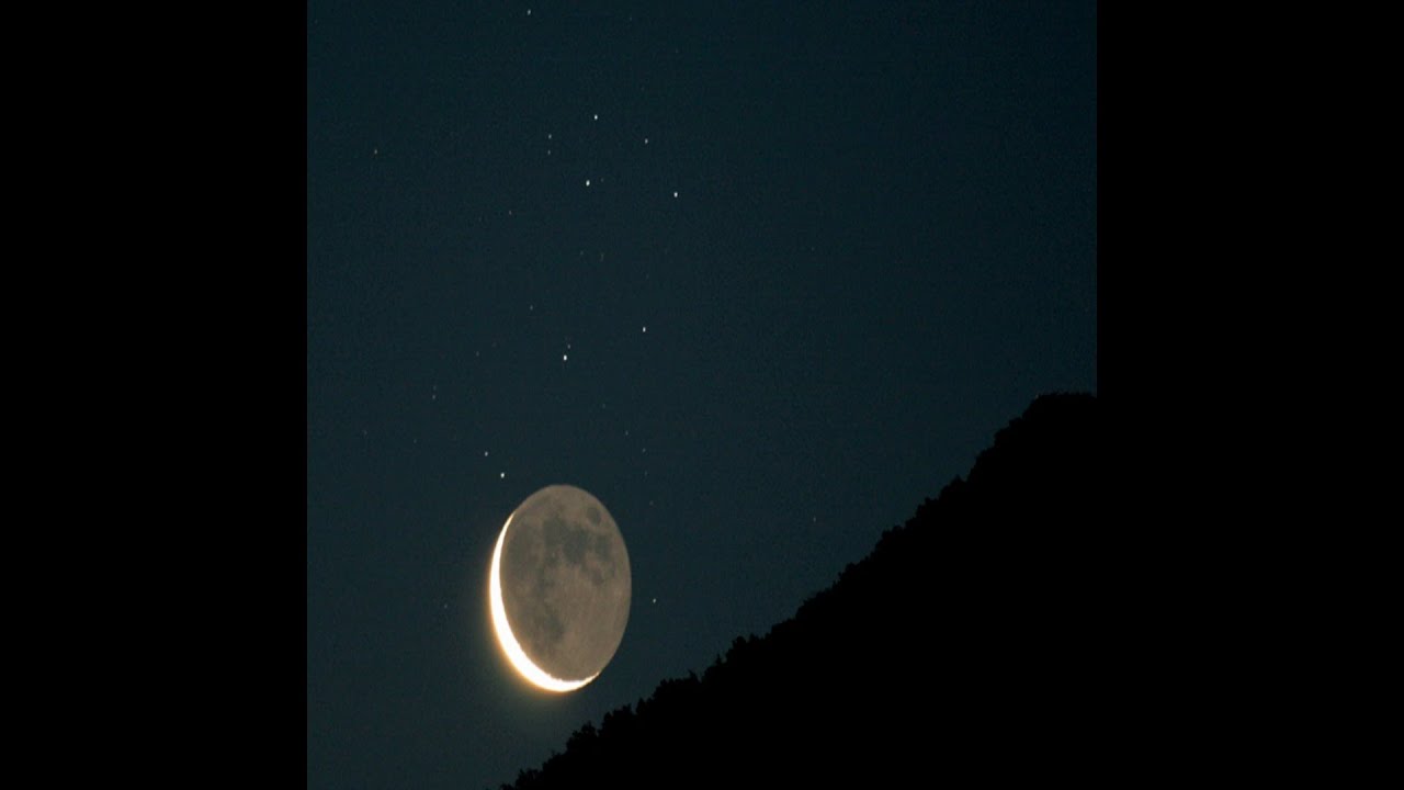 [FREE] Bones Type Beat 