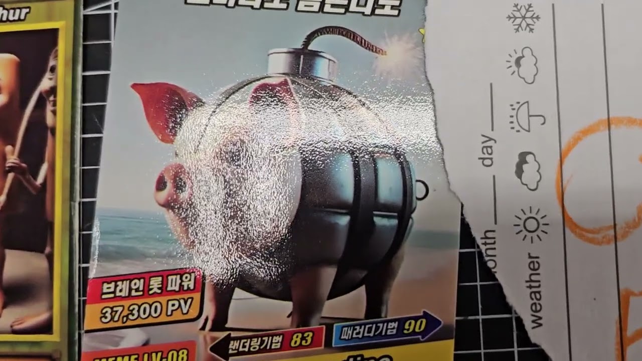이탈리안 브레인롯 노래 속 카드 맞춤 영상