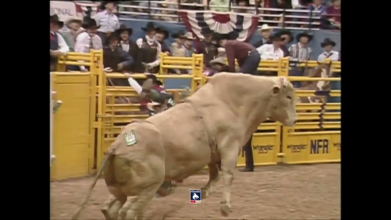 Bodacious | 1995 NFR Round 9