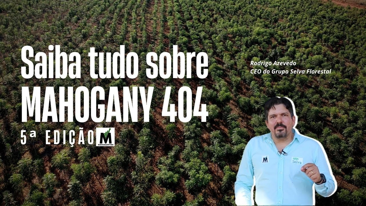 SAIBA TUDO SOBRE O MAHOGANY 404 5&ordf; EDI&Ccedil;&Atilde;O