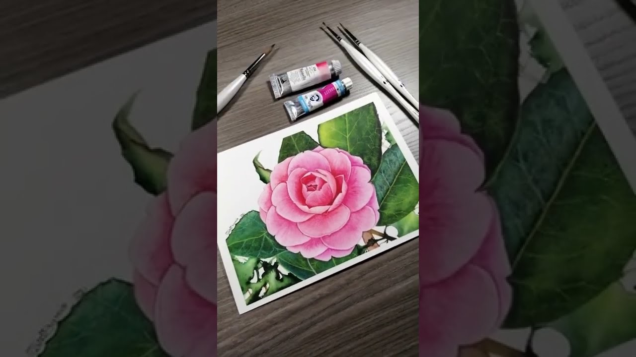 Camellia Flower in Watercolor - Botanical Painting #short #watercolor #camellia #botanical #waterart