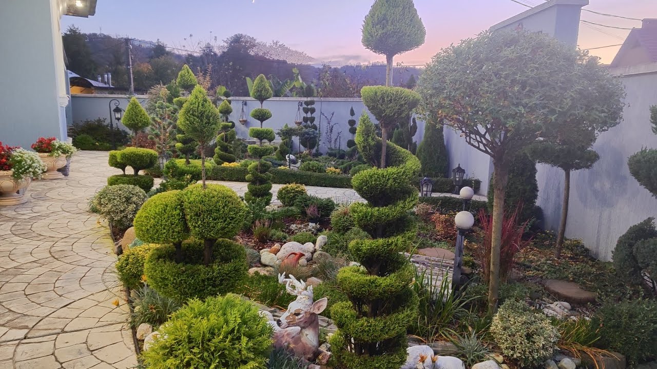 ПРОДОЛЖАЮ СТРИЧЬ СВОИ РАСТЕНИЯ!🌲