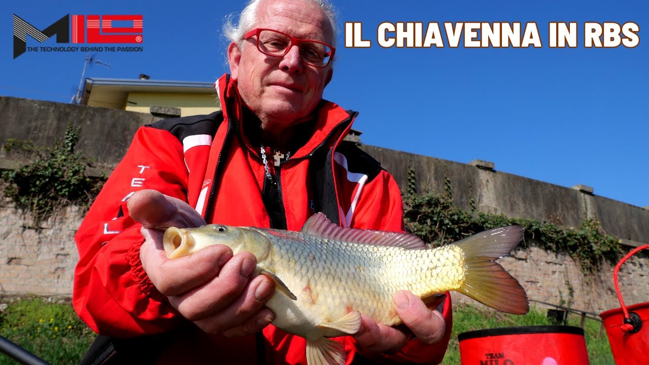 ITINERARI BY MILO - Pesca al Colpo in CHIAVENNA a Caorso