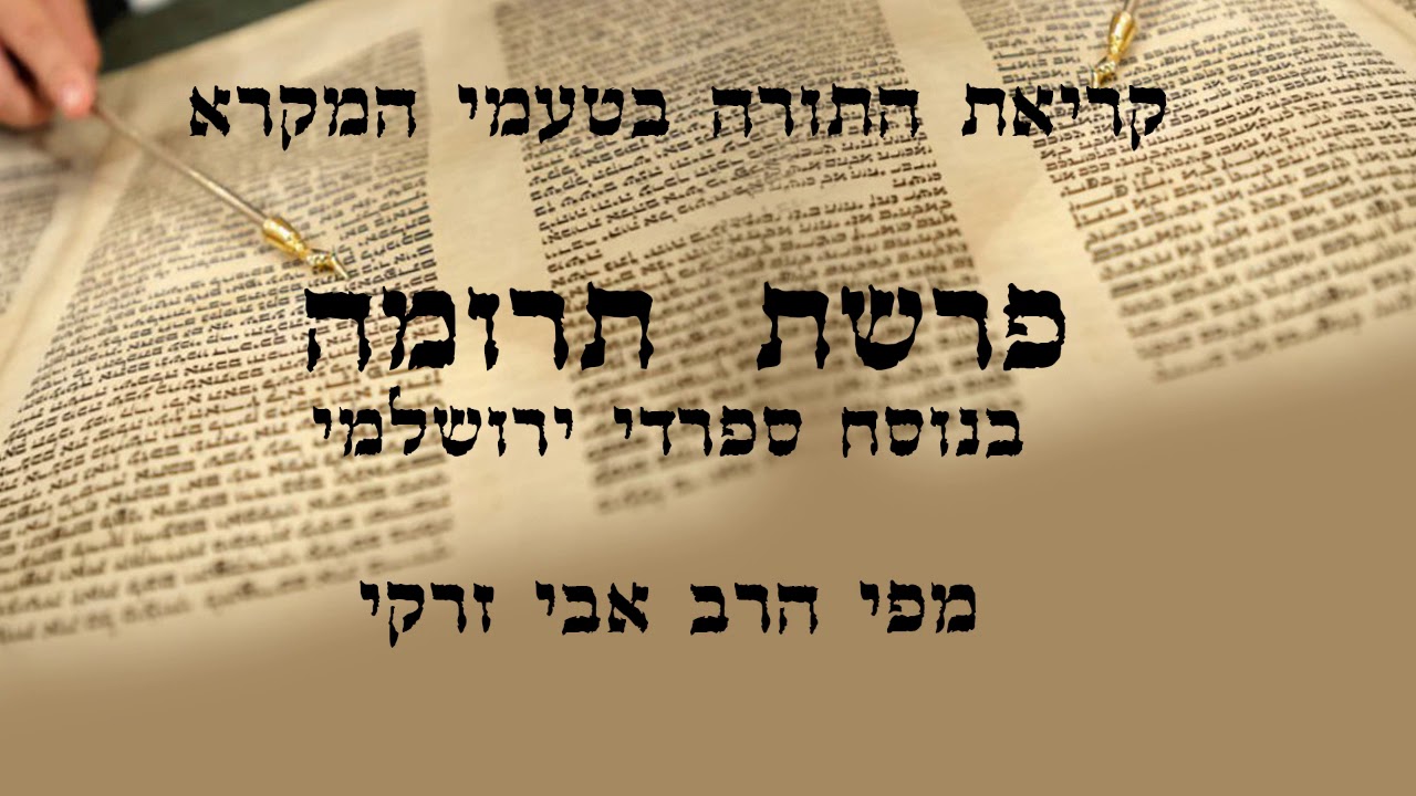 הרב אבי זרקי- קריאת התורה פרשת 