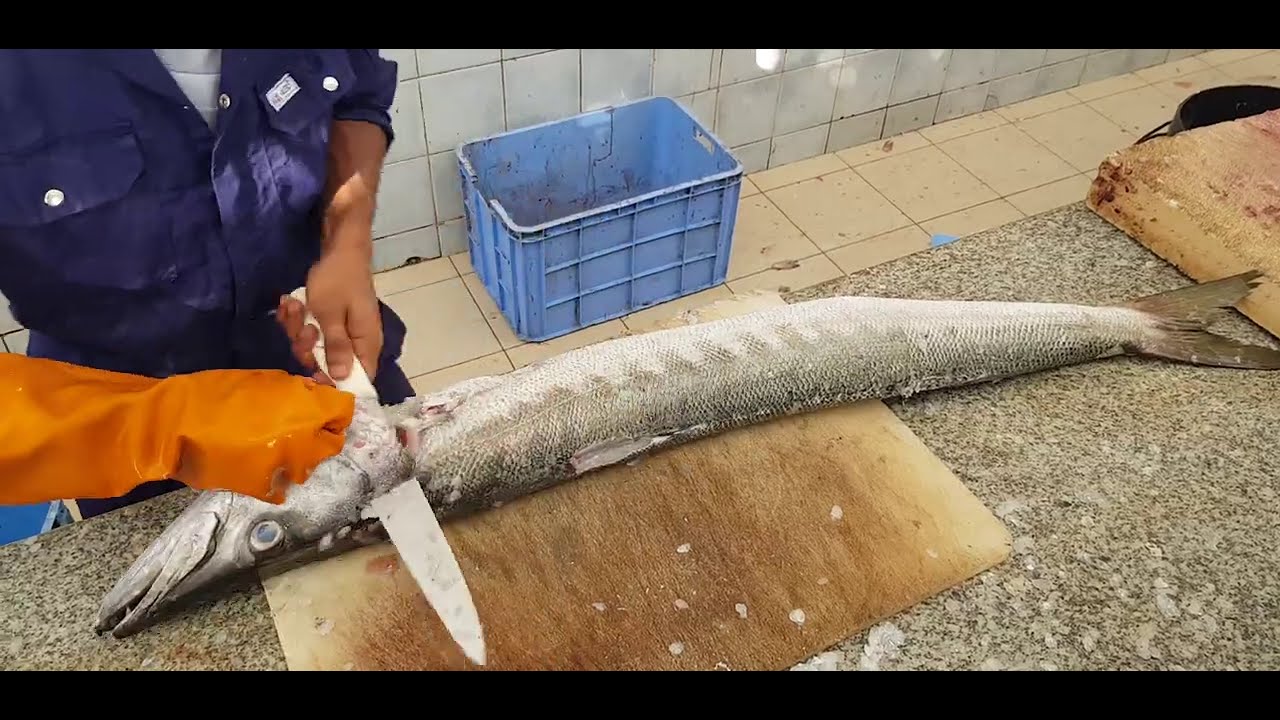 King Barracuda Fish Filleting Skills in Asia। Worlds Best Fish Cutting Skill। Barracuda Fish Cutting