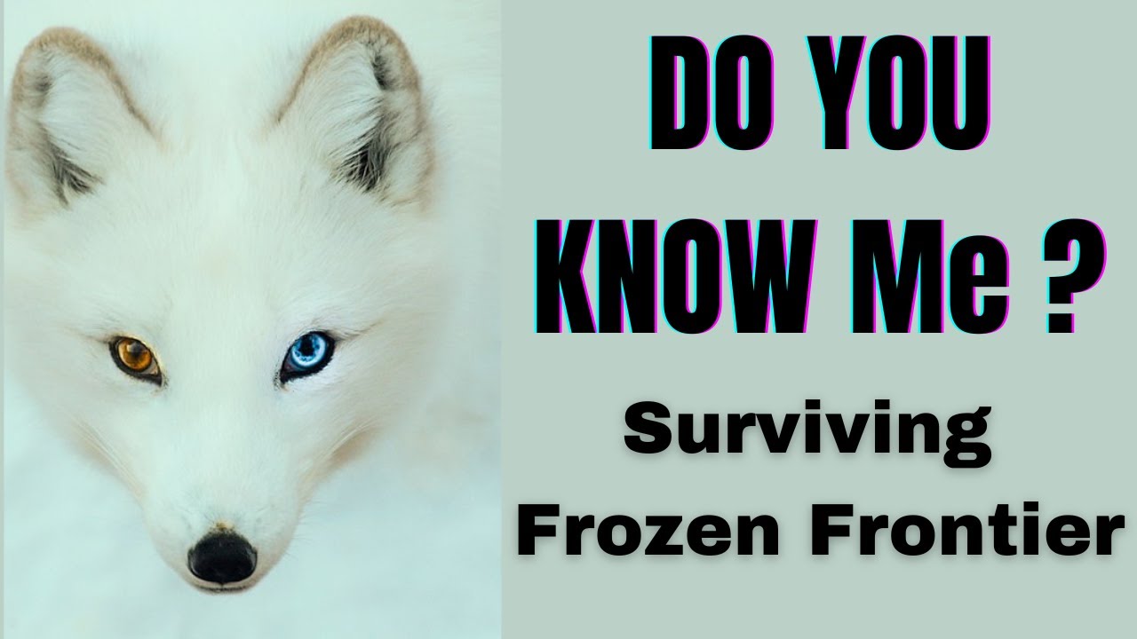 Surviving the Arctic - Master of Frozen Frontier..!! Animals with Extreme Adaptation..