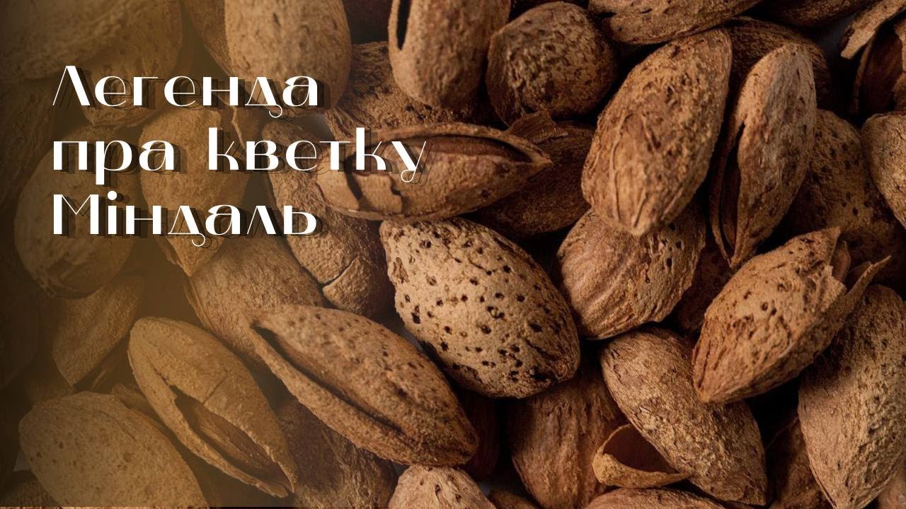 Легенда пра кветку. Посах Аарона і мiндаль.