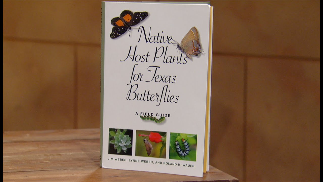Native Host Plants for Texas Butterflies |Lynne & Jim Weber | Central Texas Gardener