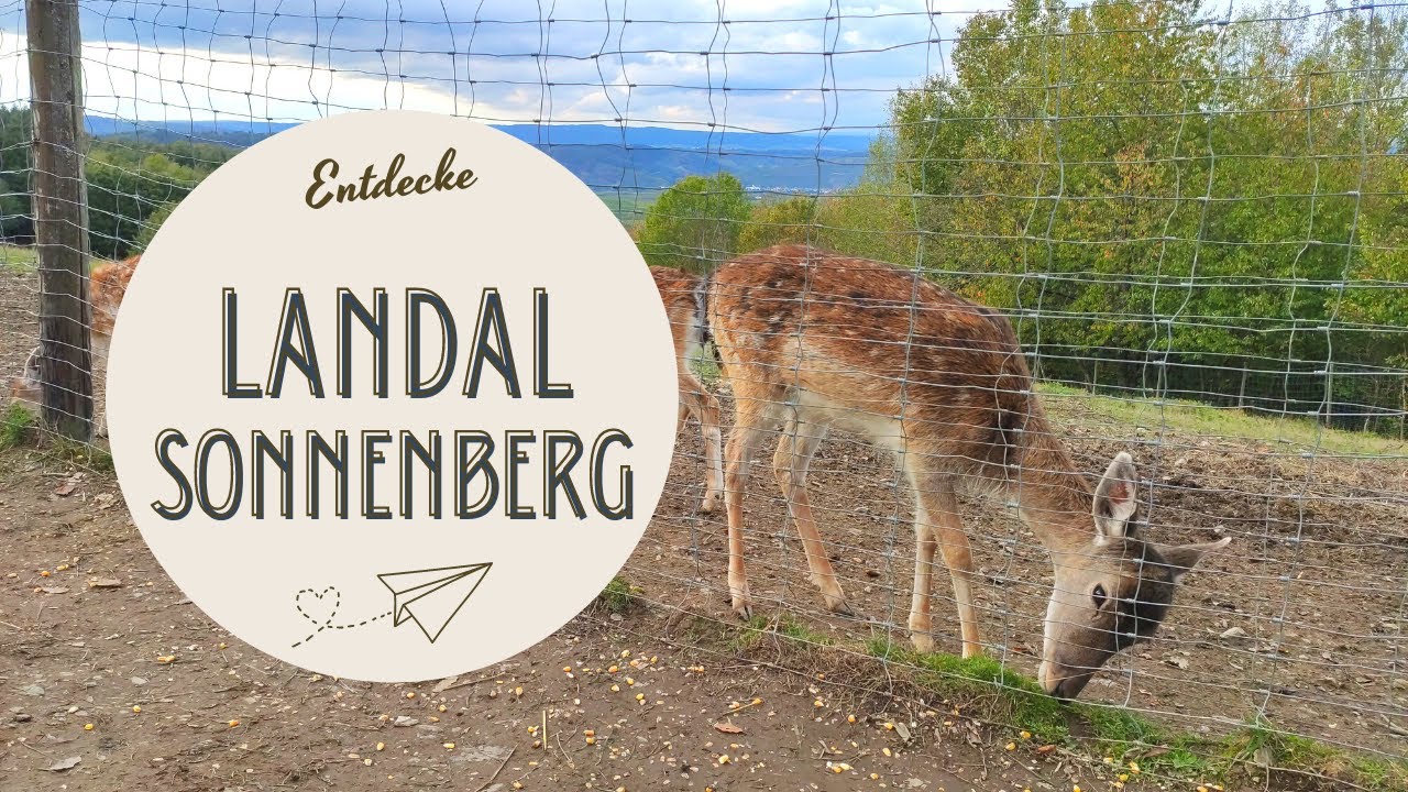 Traumhafter Familienurlaub im Landal Sonnenberg