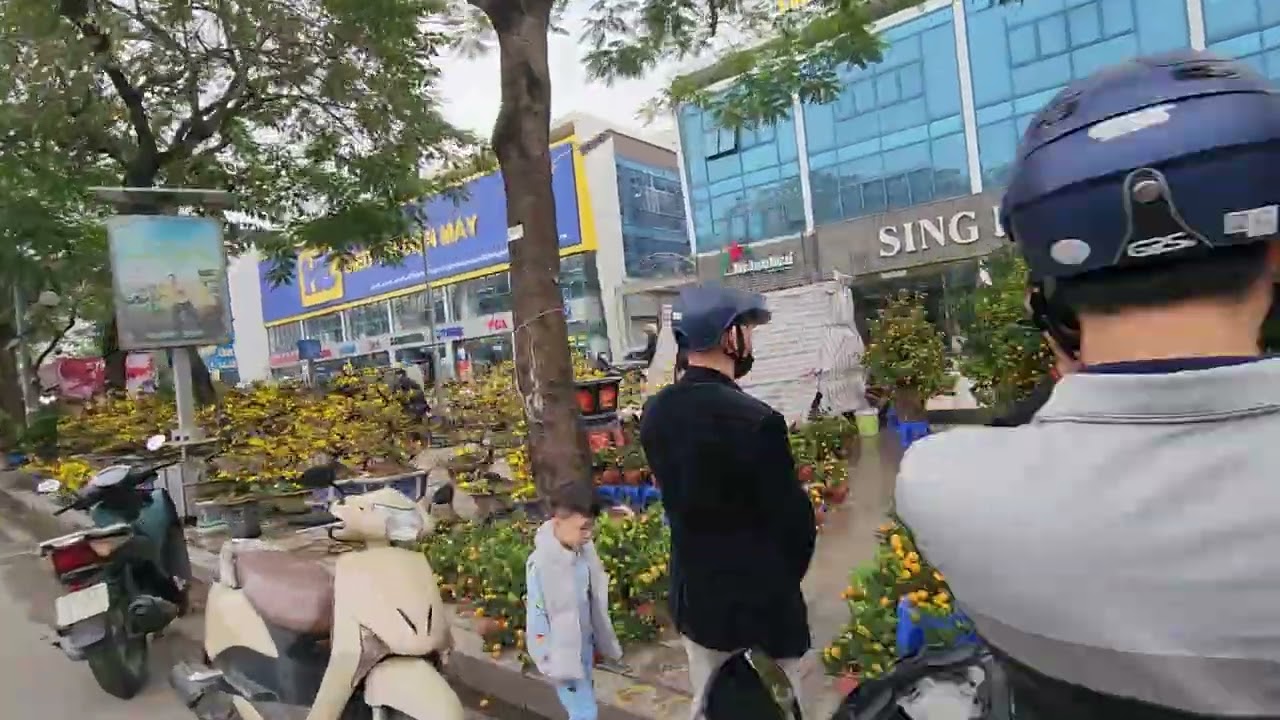 Chợ Hoa Vạn Phúc ngày Xuân #VuontoTV