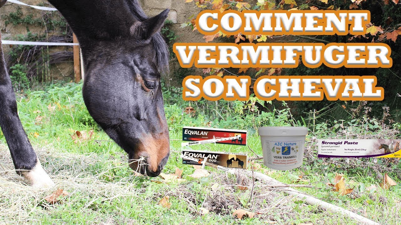 COMMENT VERMIFUGER SON CHEVAL (ET POURQUOI)