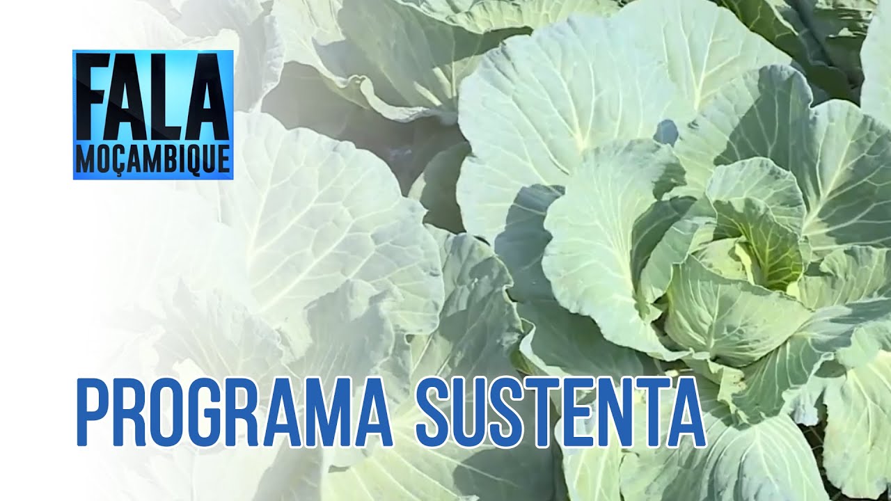 Programa Sustenta no País
