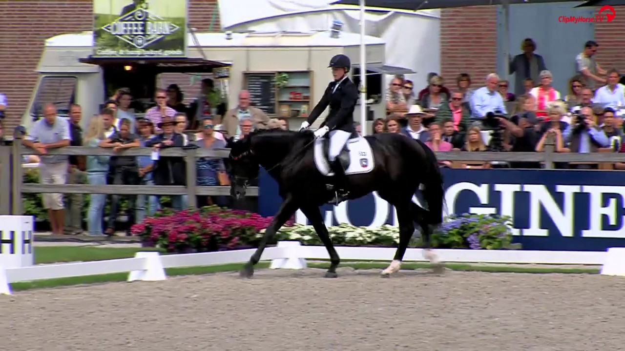 Ann-Christin Wienkamp | Don Martillo | Finale 5jährige | WM Junge Dressurpferde 2017
