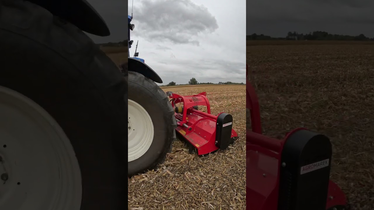 New Holland TM155 + Tehnos MU 300R LW Profi #farmer #farmerlife #newholland #mulching #mulcher