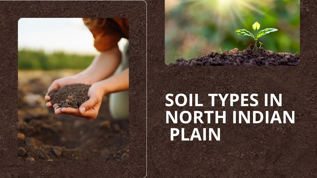 Soil Types in North Indian plain. Class 9. E content  