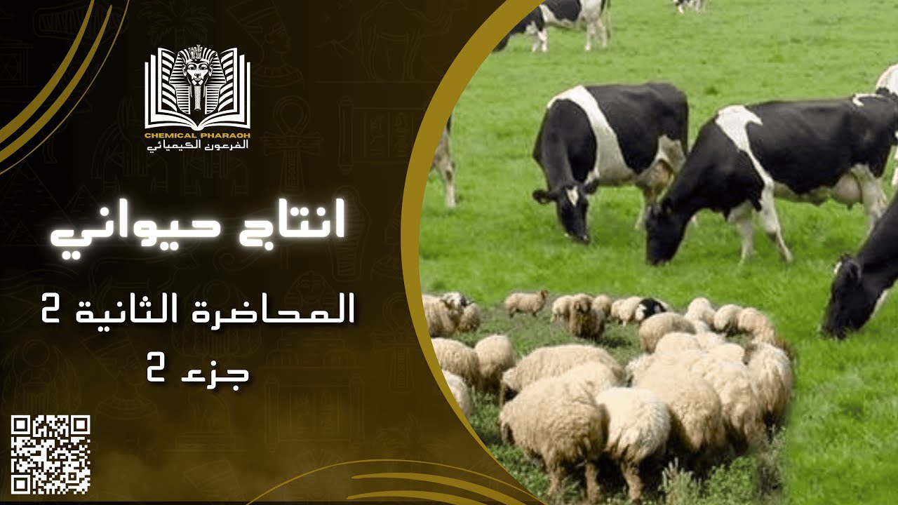 (انتاج حيواني - الفرقة الأولي) المحاضره الثانية 2 جزء 2