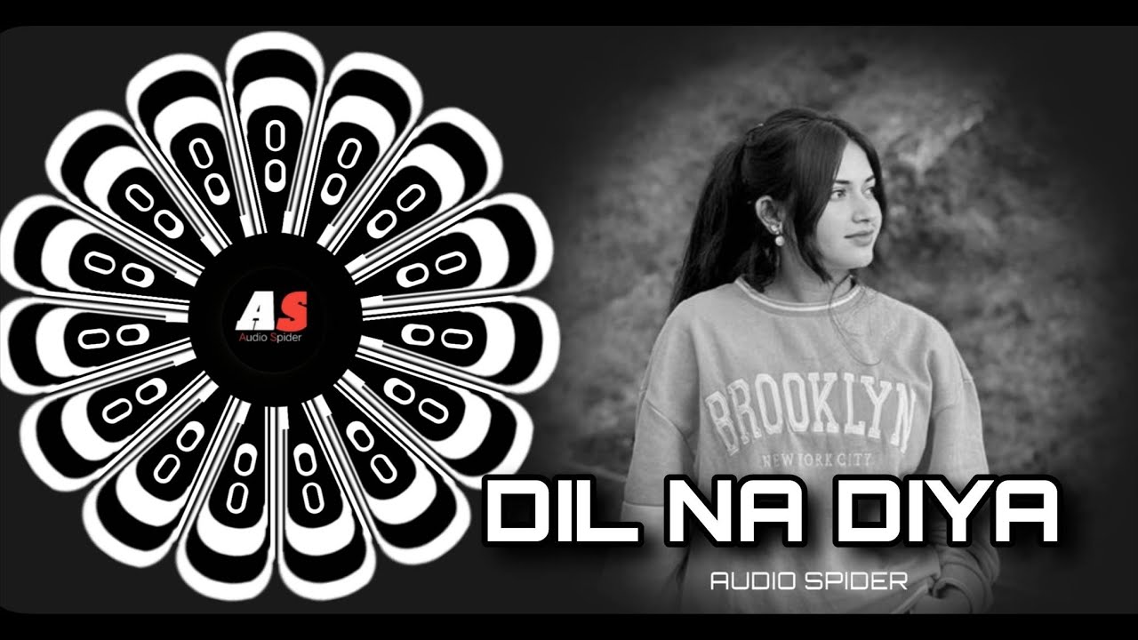 DIL NA DIYA VIRAL ( EDM X TRANCE ) #AUDIOSPIDER 🕷🕸
