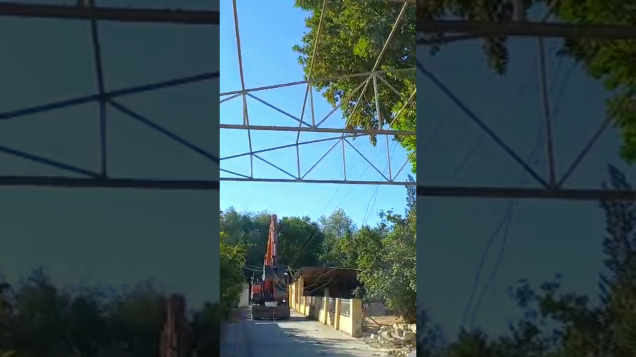 Cut down trees Ağacin kəsilməsi Срубить дерево