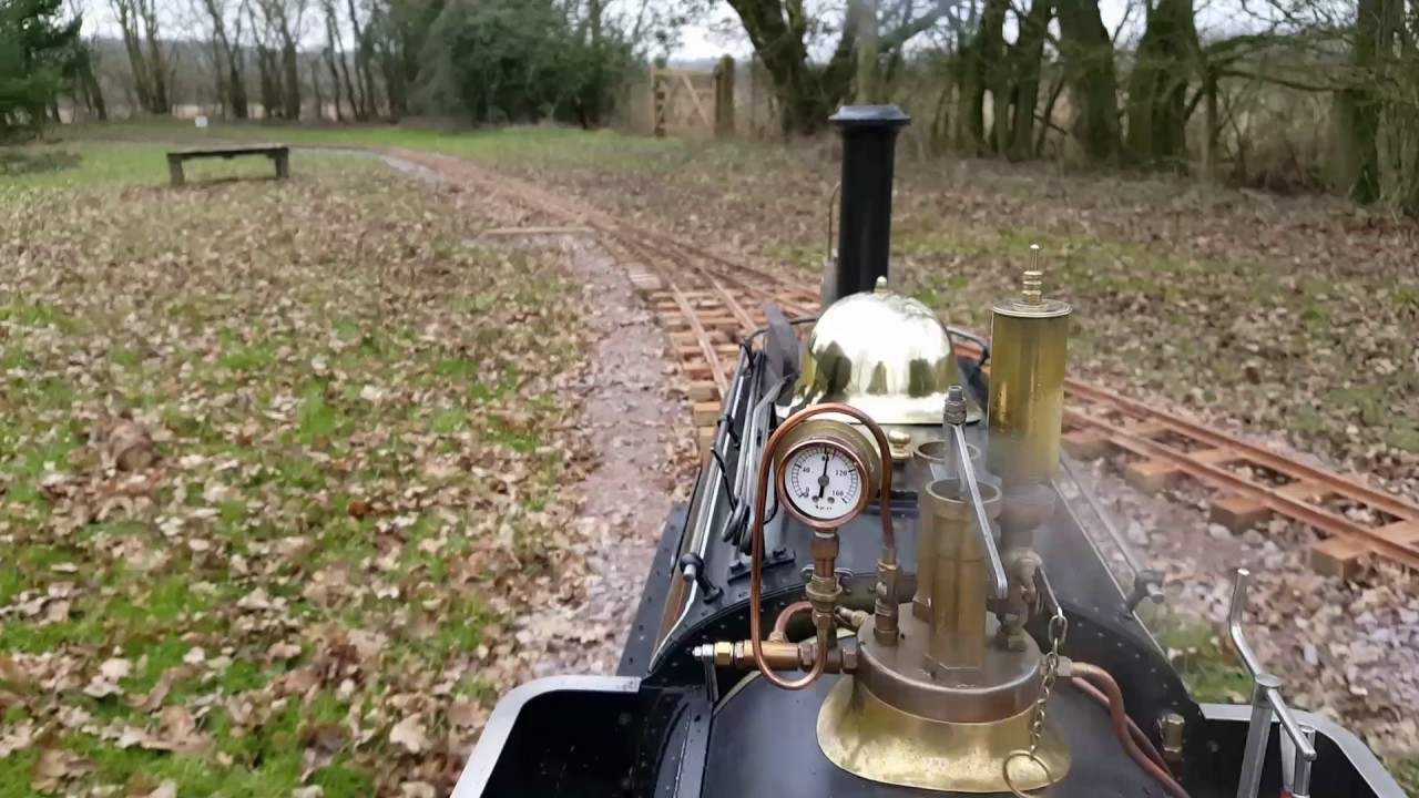 Puffin in the paddocks