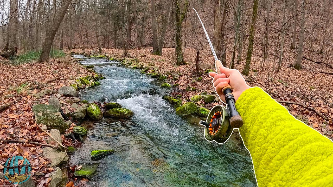MY BEST DAY OF FLY FISHING THIS YEAR! (Big Trout in a Tiny Creek)