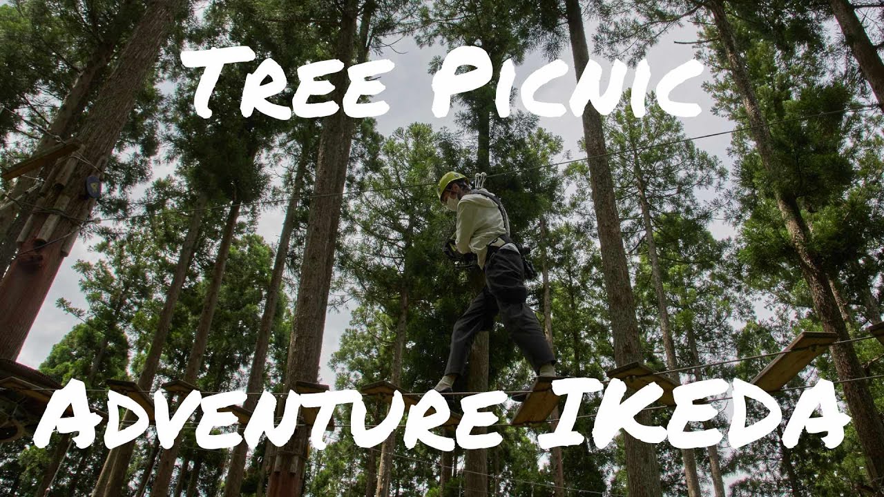 Thrilling Day at Tree Picnic Adventure IKEDA | FCA Life in Fukui 34