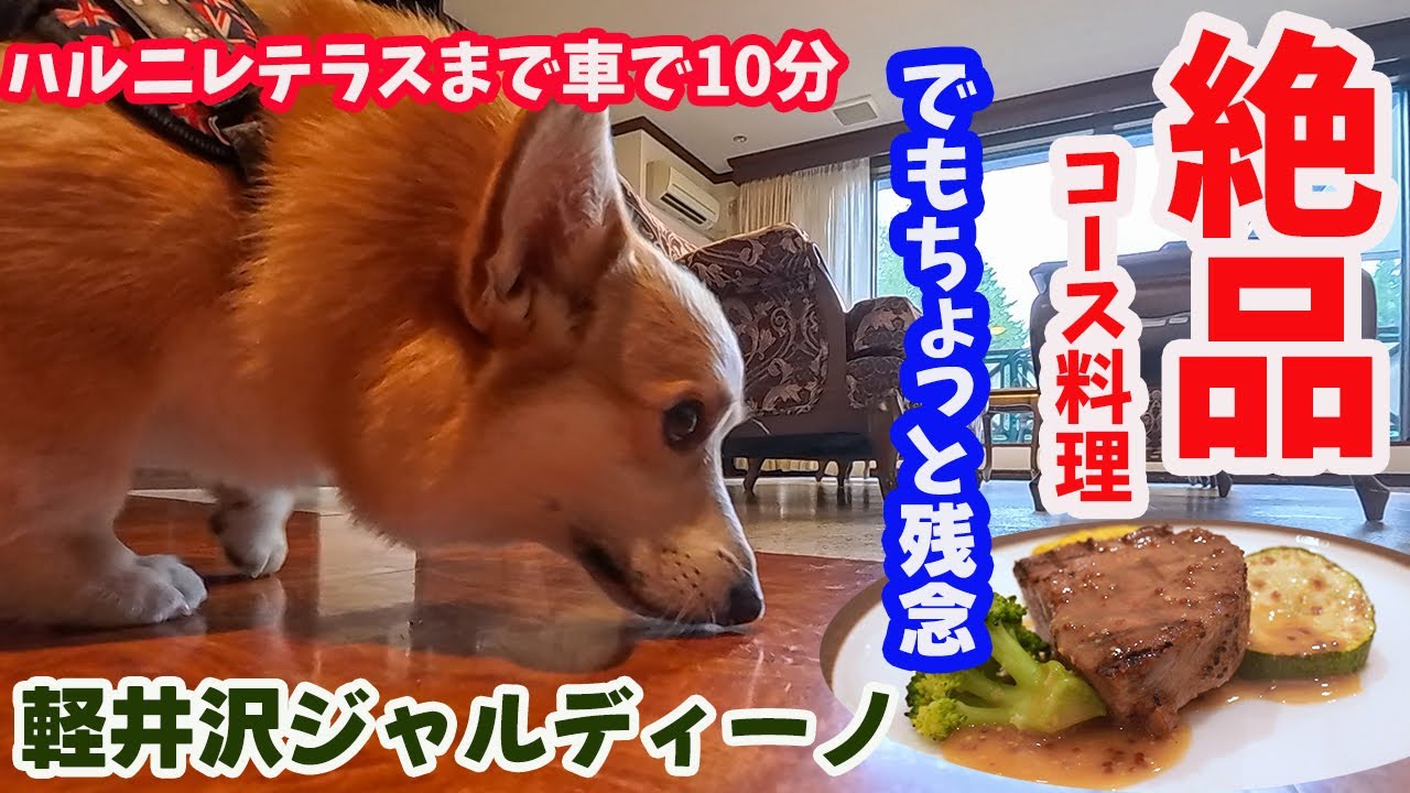 犬と軽井沢宿【カーロフォレスタ軽井沢ジャルディーノ】スイートに泊まり贅沢したけど、ちょっと残念だったこと