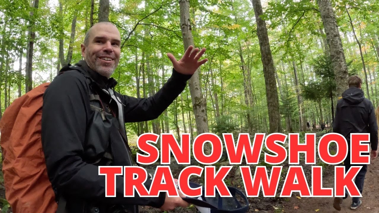 SNOWSHOE TRACK WALK