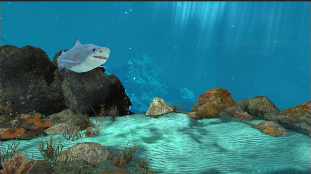 Madeira Smalltooth Sand Tiger Hunting Clash #SamarLaiGaming
