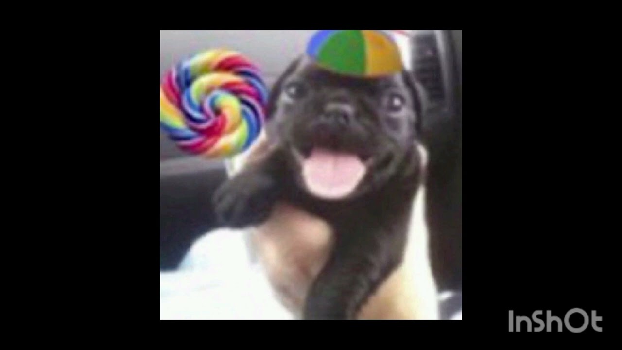 Goofy Ahh Beat 🥀🥀🥀