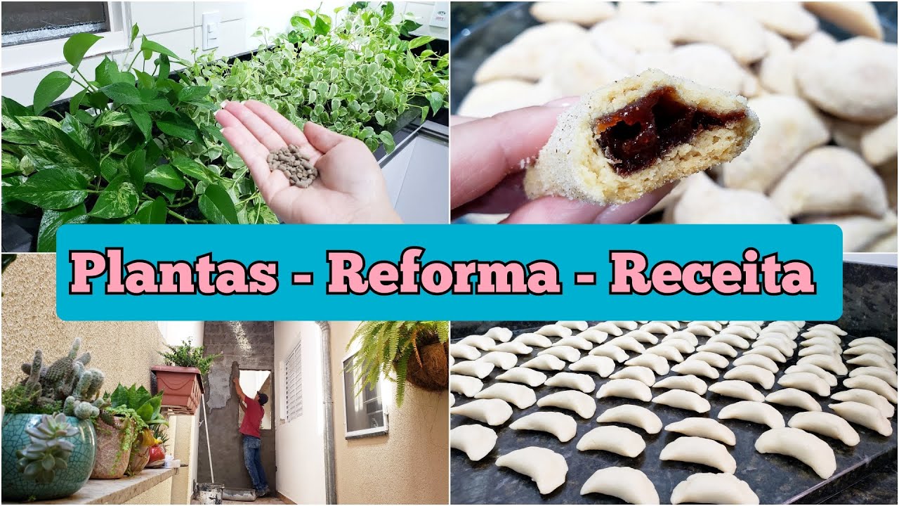 COMO FERTILIZAR AS PLANTAS | BOLACHINHAS PERFEITAS | GOIABINHA | FAÇA E VENDA | ANDAMENTO DA OBRA