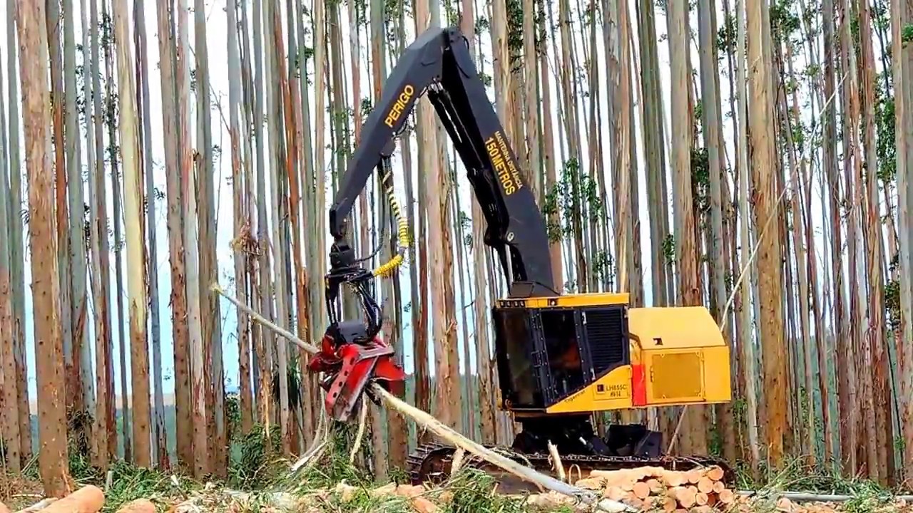 Colheita de Eucalipto com Harvester Tigercat LH855C