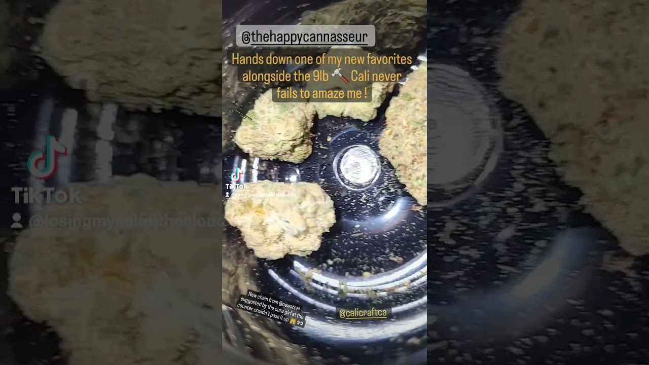 MMMimosa Evo (Purple Punch x Clementine) CaliCraftCa Insane terps 4.5% 28% THC OCS Market 10/10!