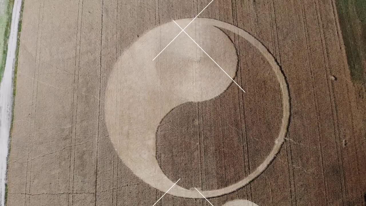 Piktogram w W&oacute;lce Orchowskiej