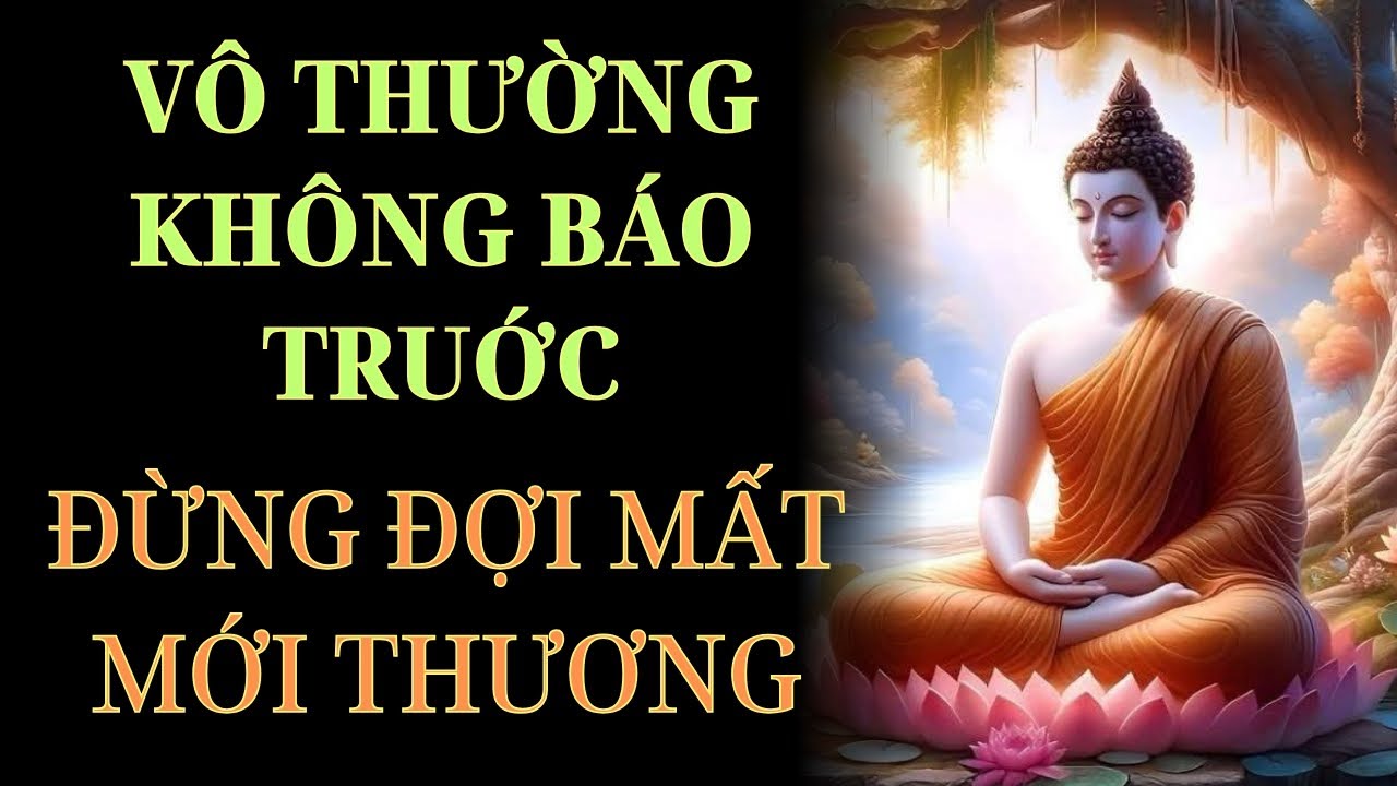 ĐỪNG ĐỢI MẤT MỚI THƯƠNG – Lời Phật Dạy Về Vô Thường Và Hiếu Đạo