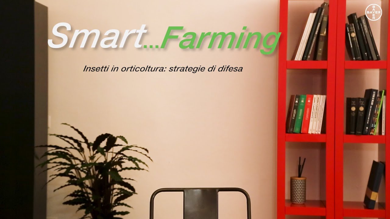 Smart...Farming - Insetti in orticoltura: strategie di difesa