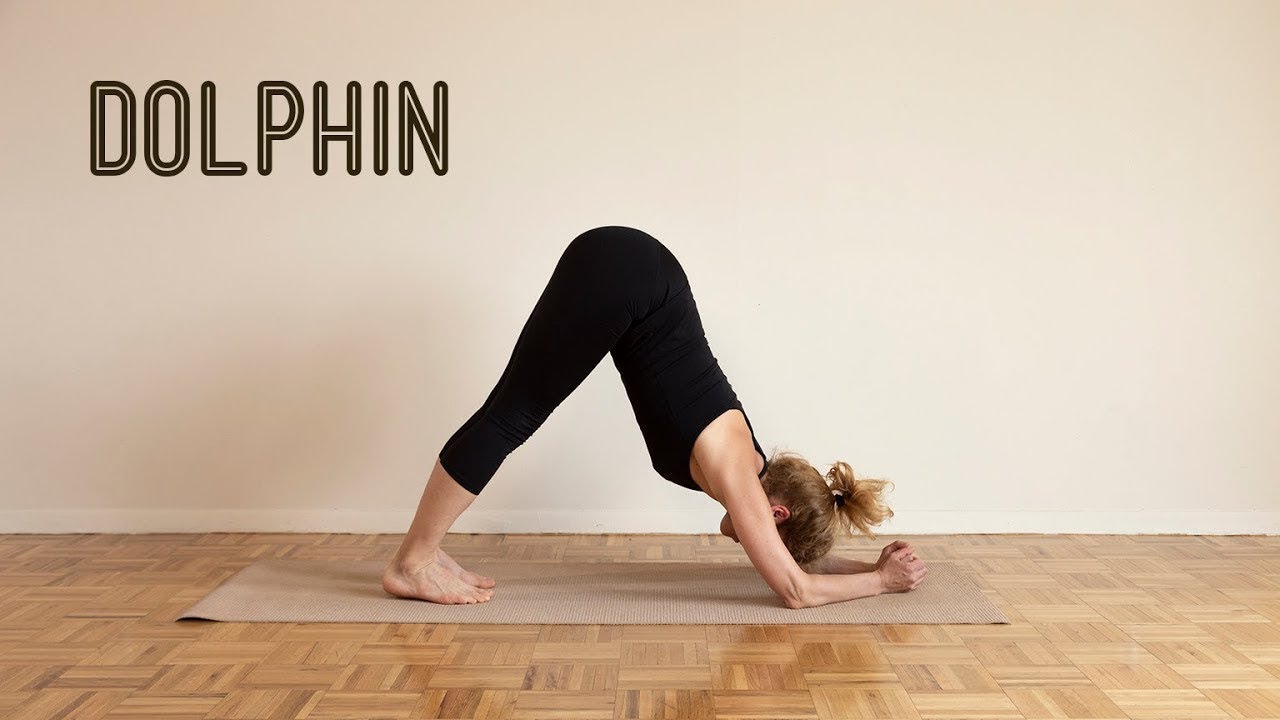 Yoga Asana Lab: Dolphin Pose (Ardha Pincha Mayurasana)