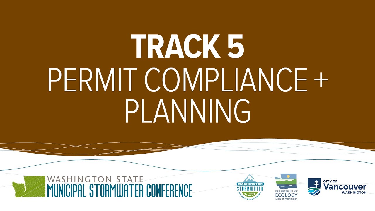 Что именно представляет собой дерево, используемое для сбора дождевой воды?