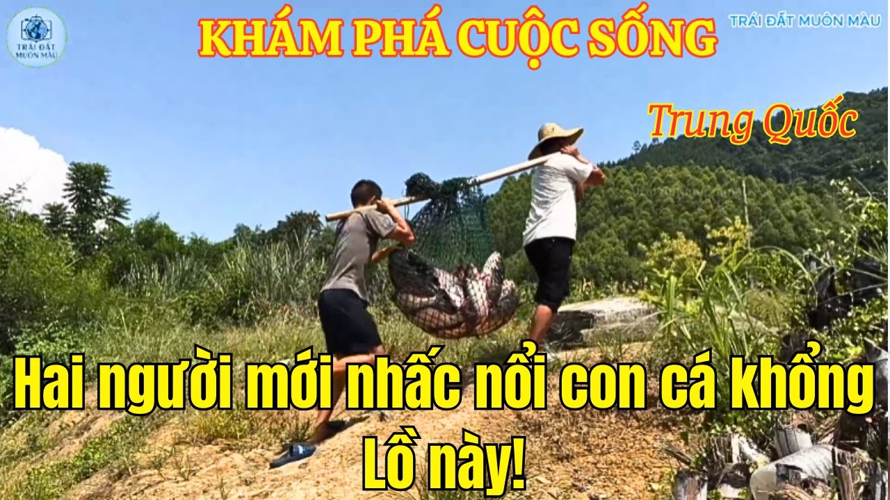 Cuộc sống ngư dân: Bắt được cá hoang dã nặng 160 pound – Hai người mới nhấc nổi con cá khổng lồ này!