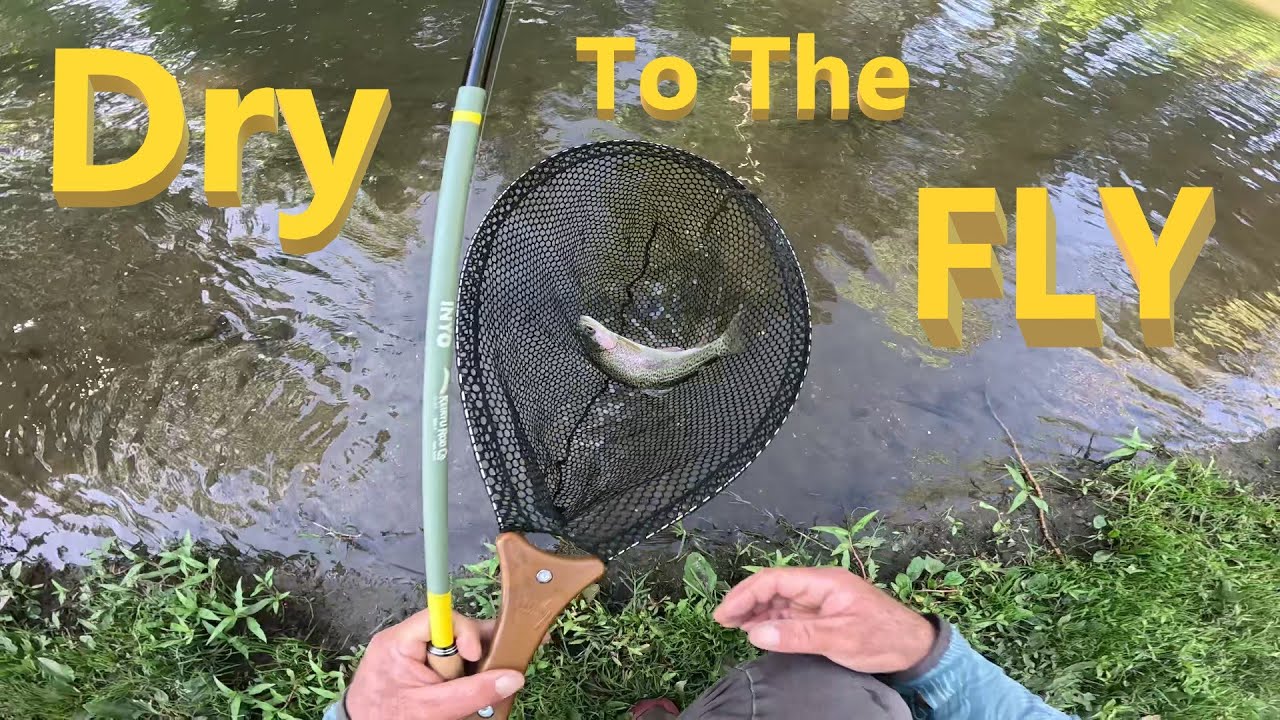 Keiryu Dry Fly fishing a Creek #keiryu #tenkara #flyfishing #dryfly #creek #outdoors #nature #trout