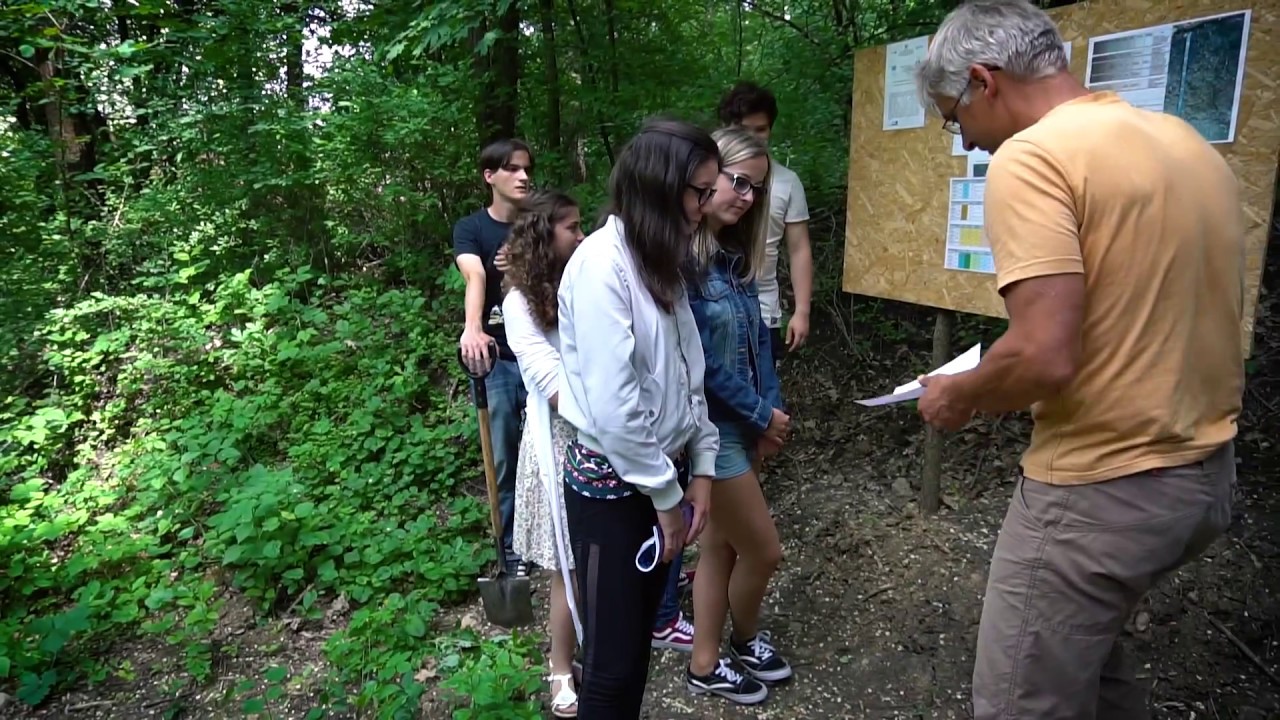 Talajtan #7 - Talajgenetika