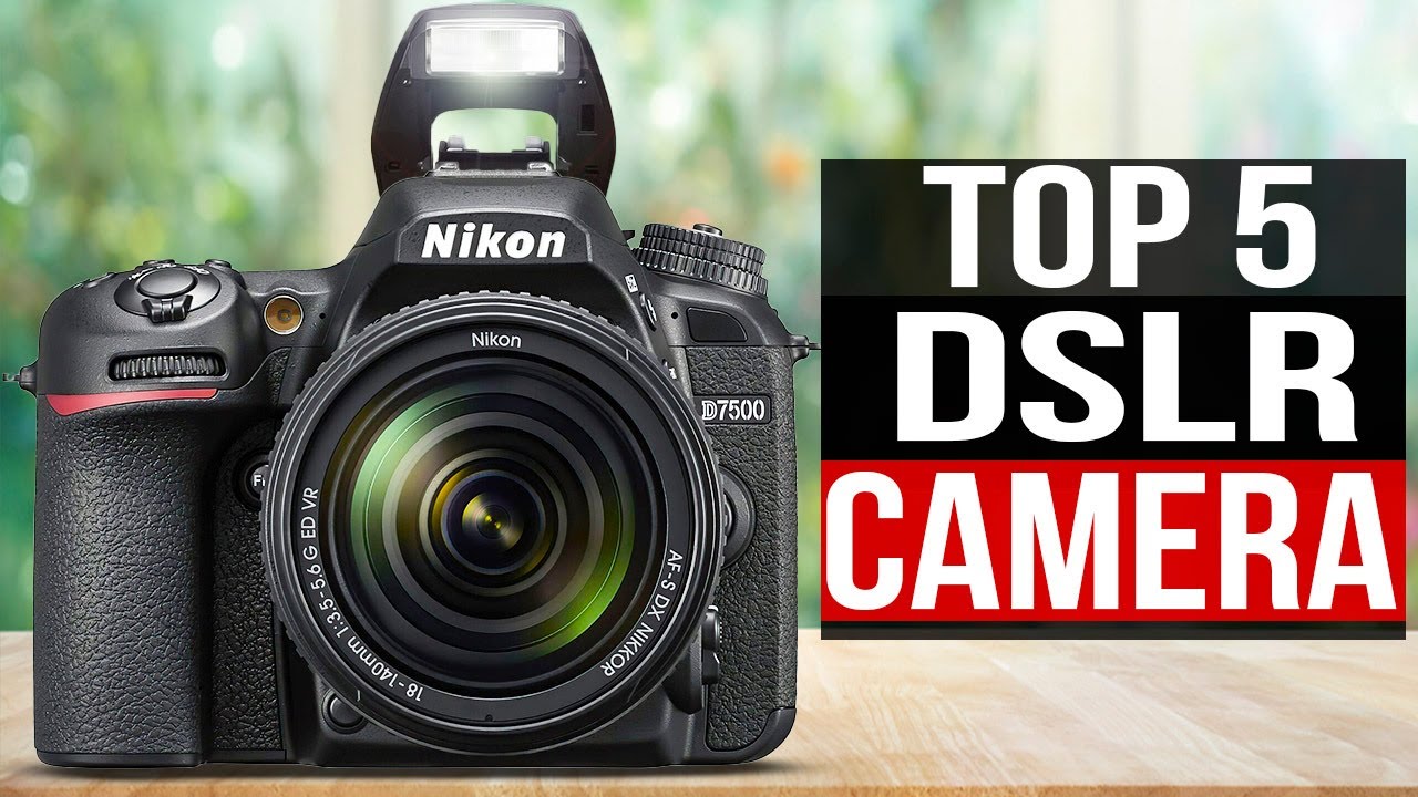 TOP 5: Best DSLR Cameras for 2024