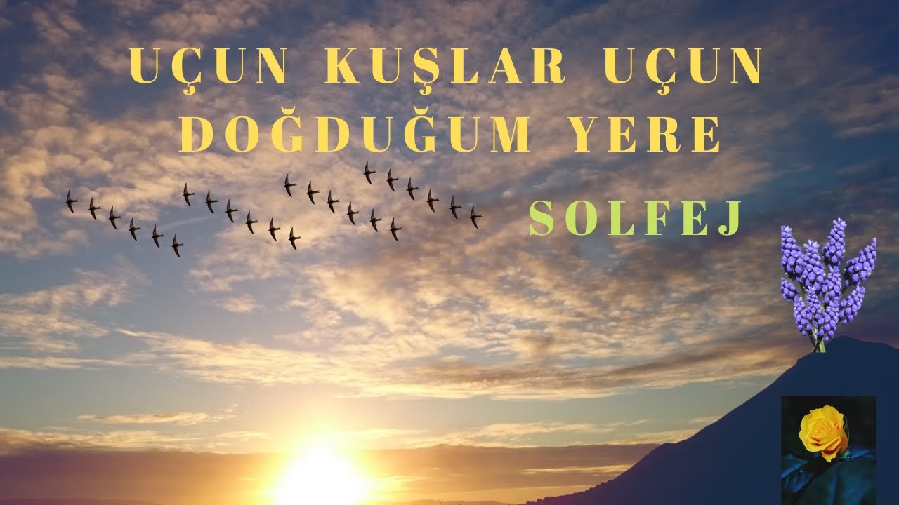 Bağlama Dersi 41 Alaaddin Yiğit ile ( Kısa Sap 