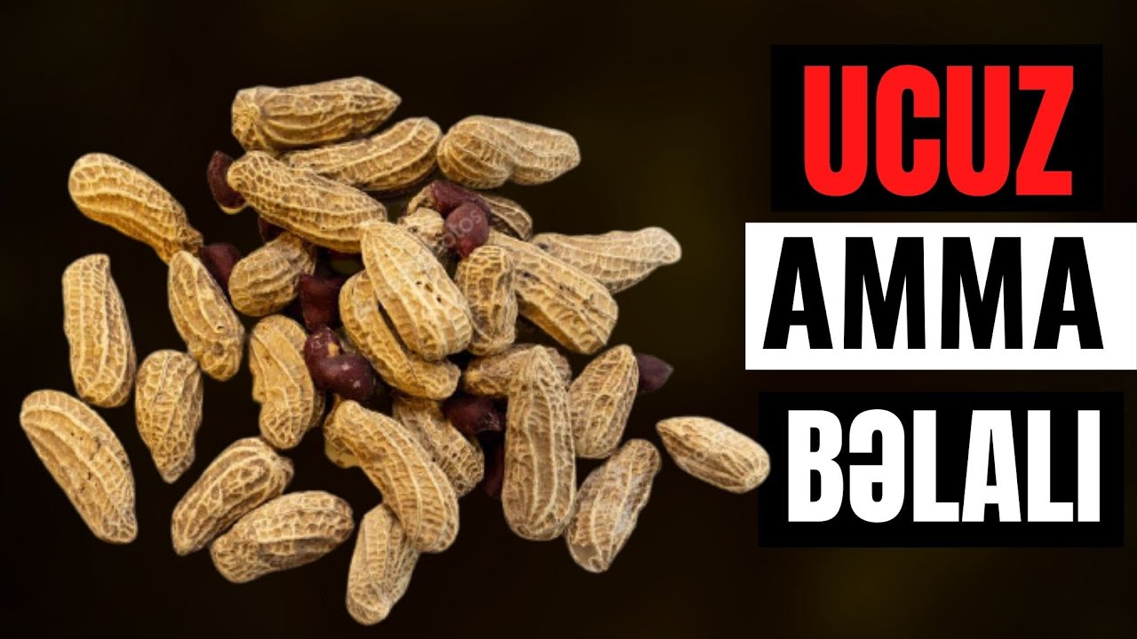 Ucuzdur deyə ALIB YEYİRİK - Başımıza BƏLA GƏLİR