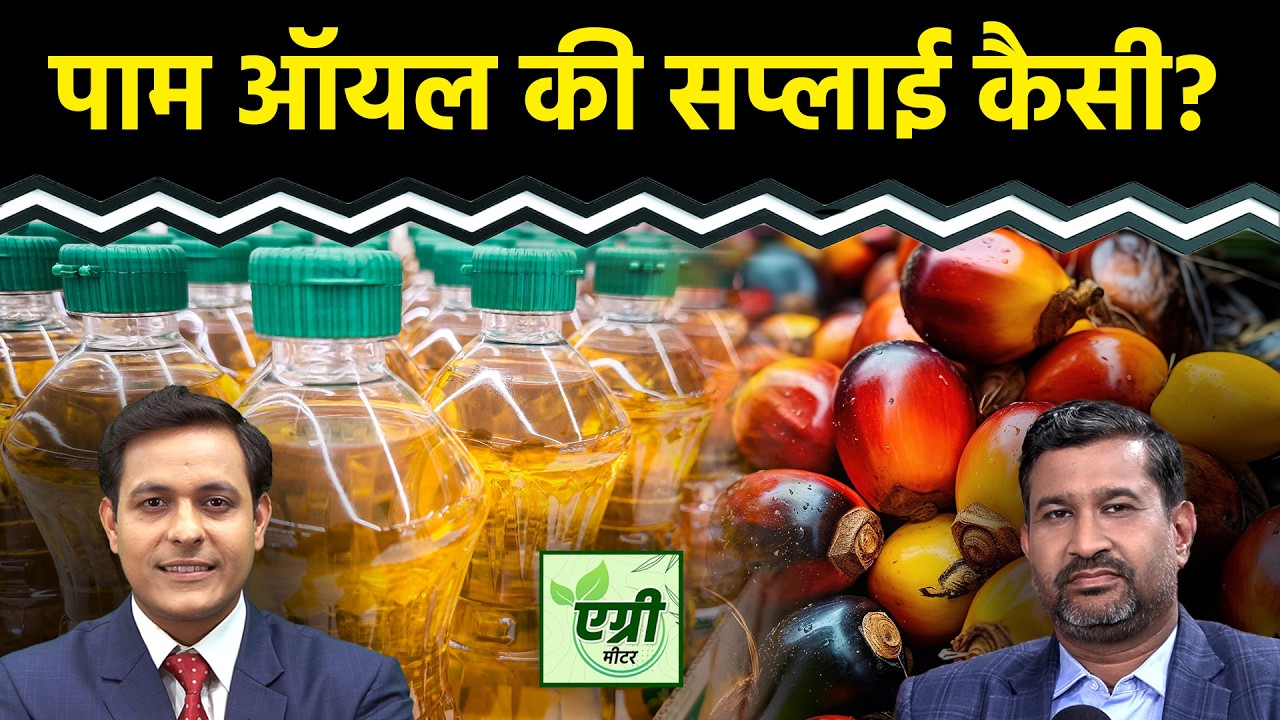 Commodity Market : मलेशिया पाम ऑयल का स्टॉक कितना घटा? Agri Commodity